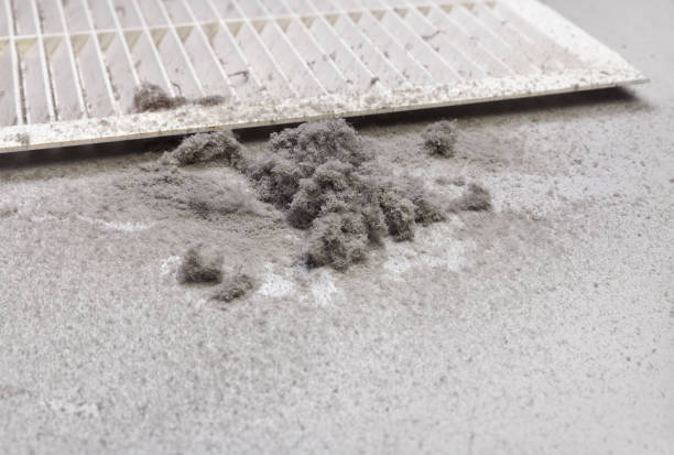 Best Air Duct Cleaning Near Me  in Whitewater, CA